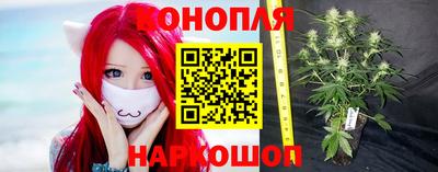 альфа пвп Заводоуковск