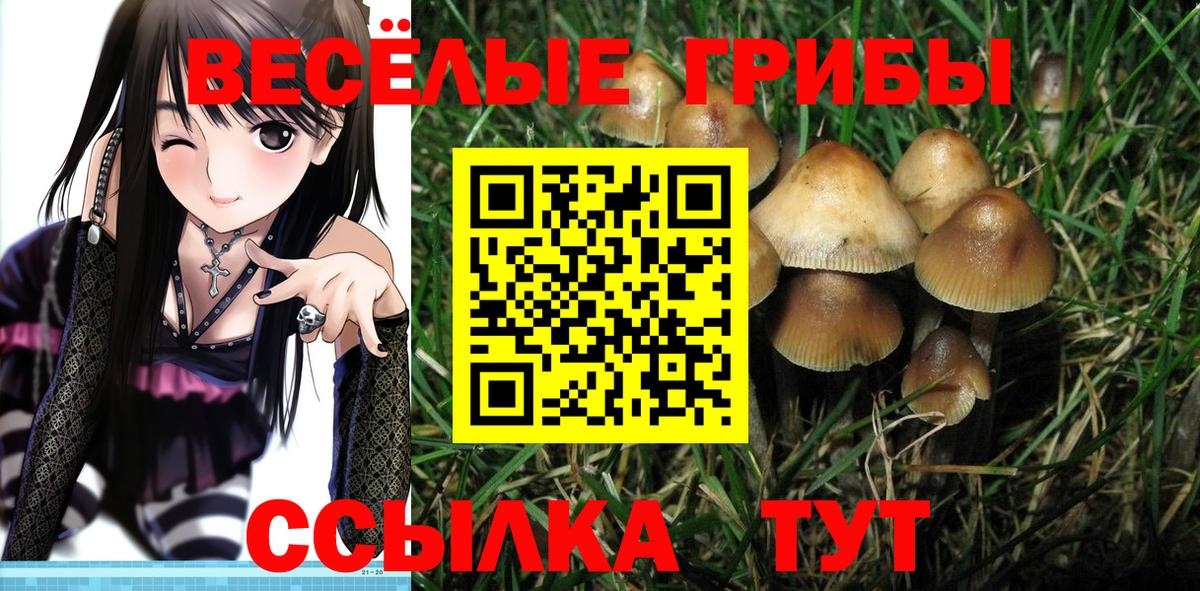 Галлюциногенные грибы мицелий Михайловск