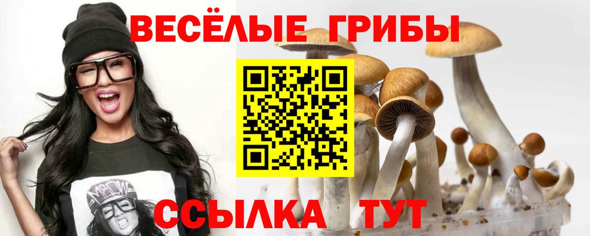 Галлюциногенные грибы MAGIC MUSHROOMS  Псилоцибиновые грибы мицелий  Михайловск  Вход с VPN 